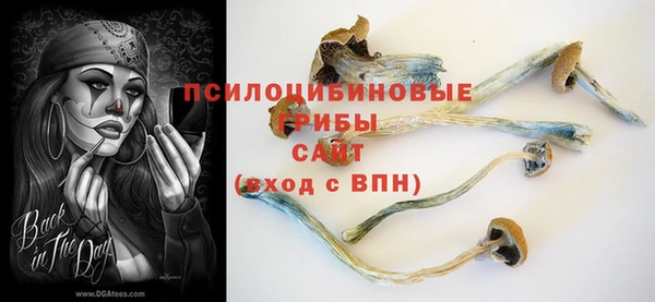 спайс Снежногорск