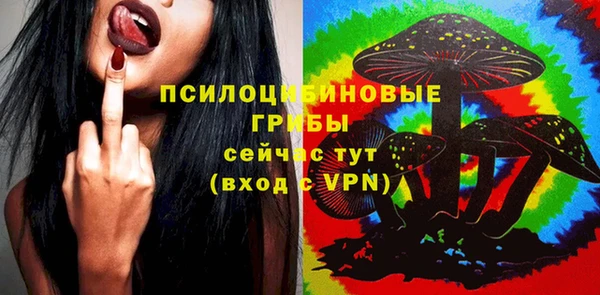 mix Сосновый Бор