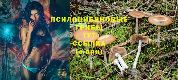 первитин Сосновка