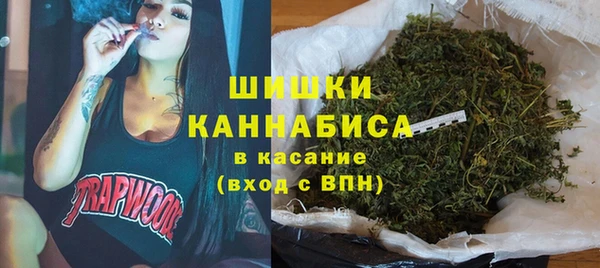 бошки Снежинск