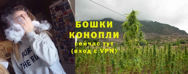 бошки Снежинск