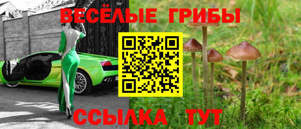 Галлюциногенные грибы прущие грибы  Псилоцибиновые грибы GOLDEN TEACHER  Азнакаево  Вход с VPN 